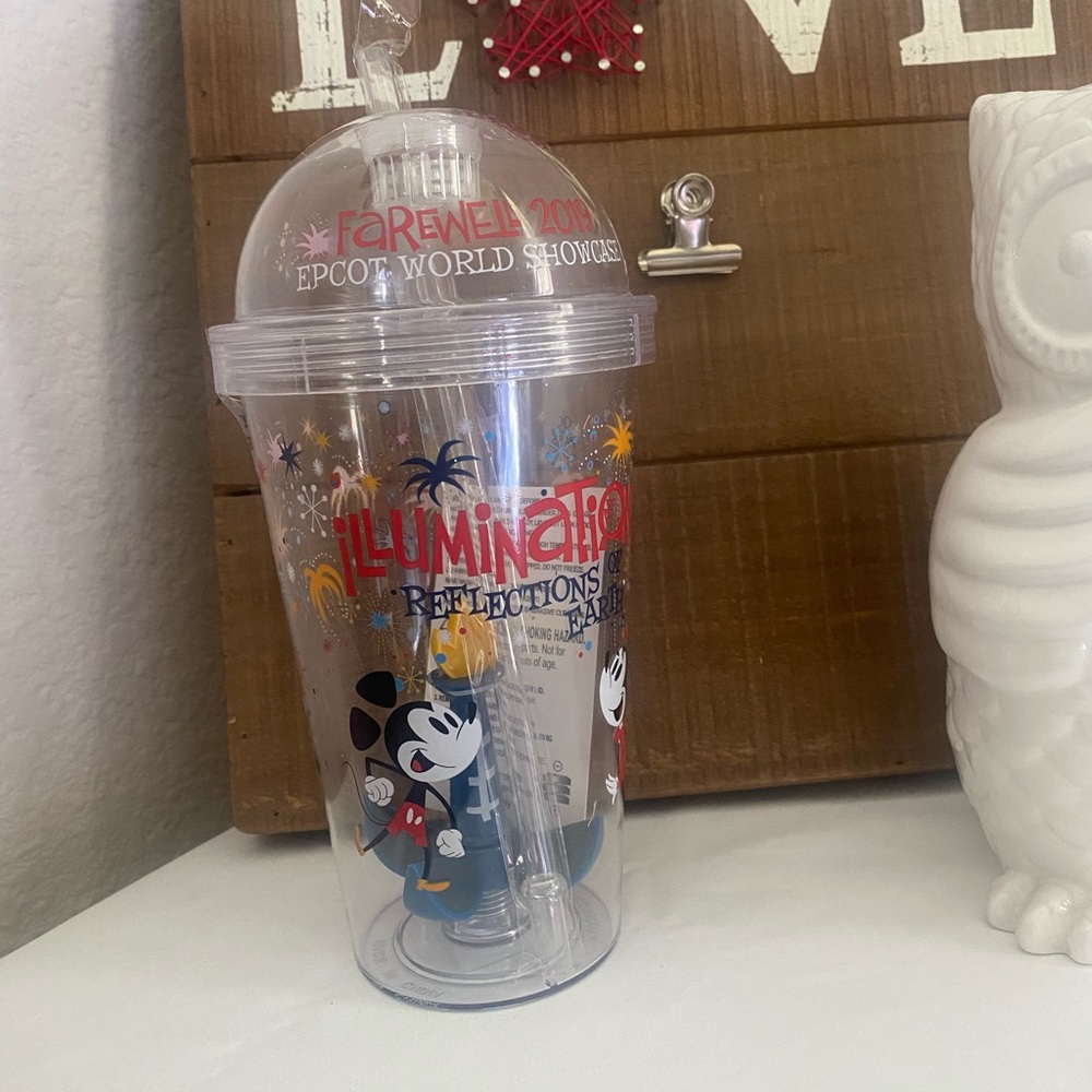 Disney 2019 Illuminations Reflection of Earth